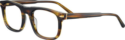 NELSON OPTIC
