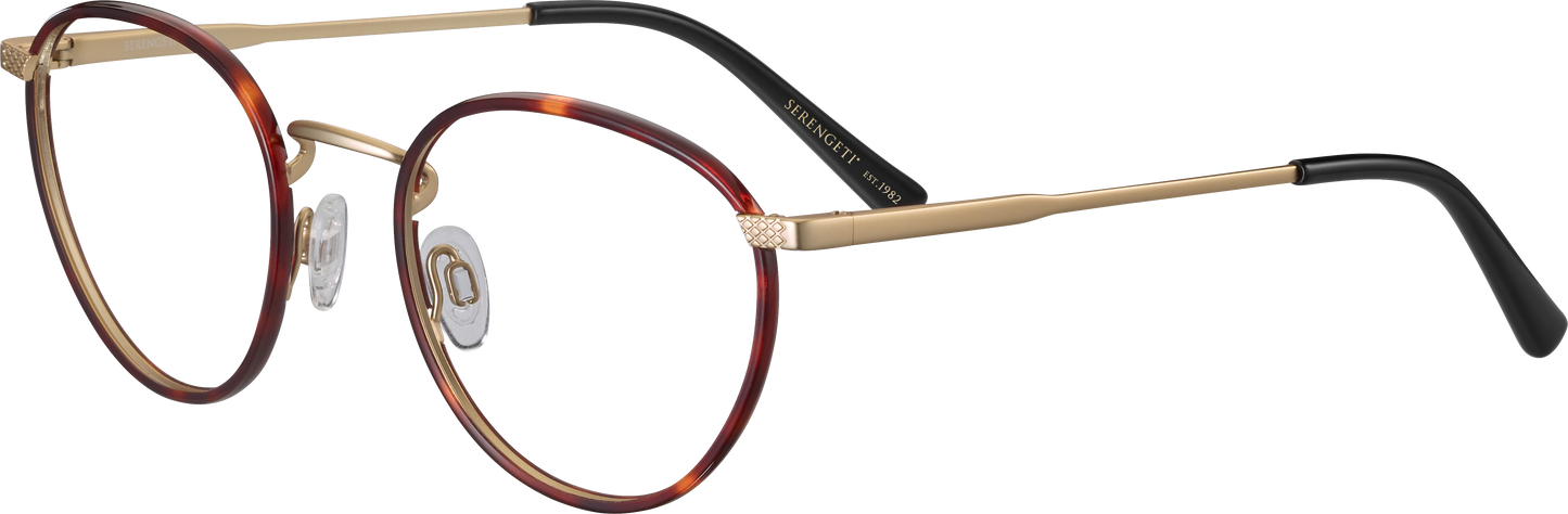 DANIEL OPTIC