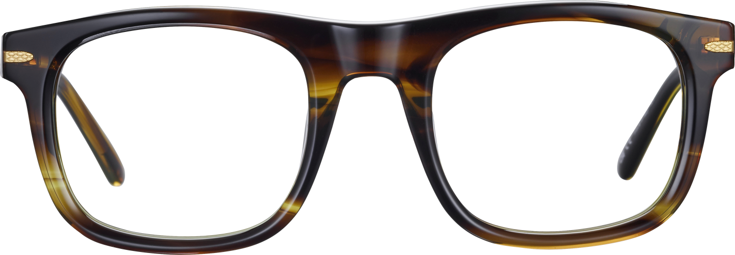 NELSON OPTIC