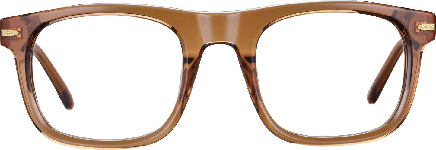 NELSON OPTIC